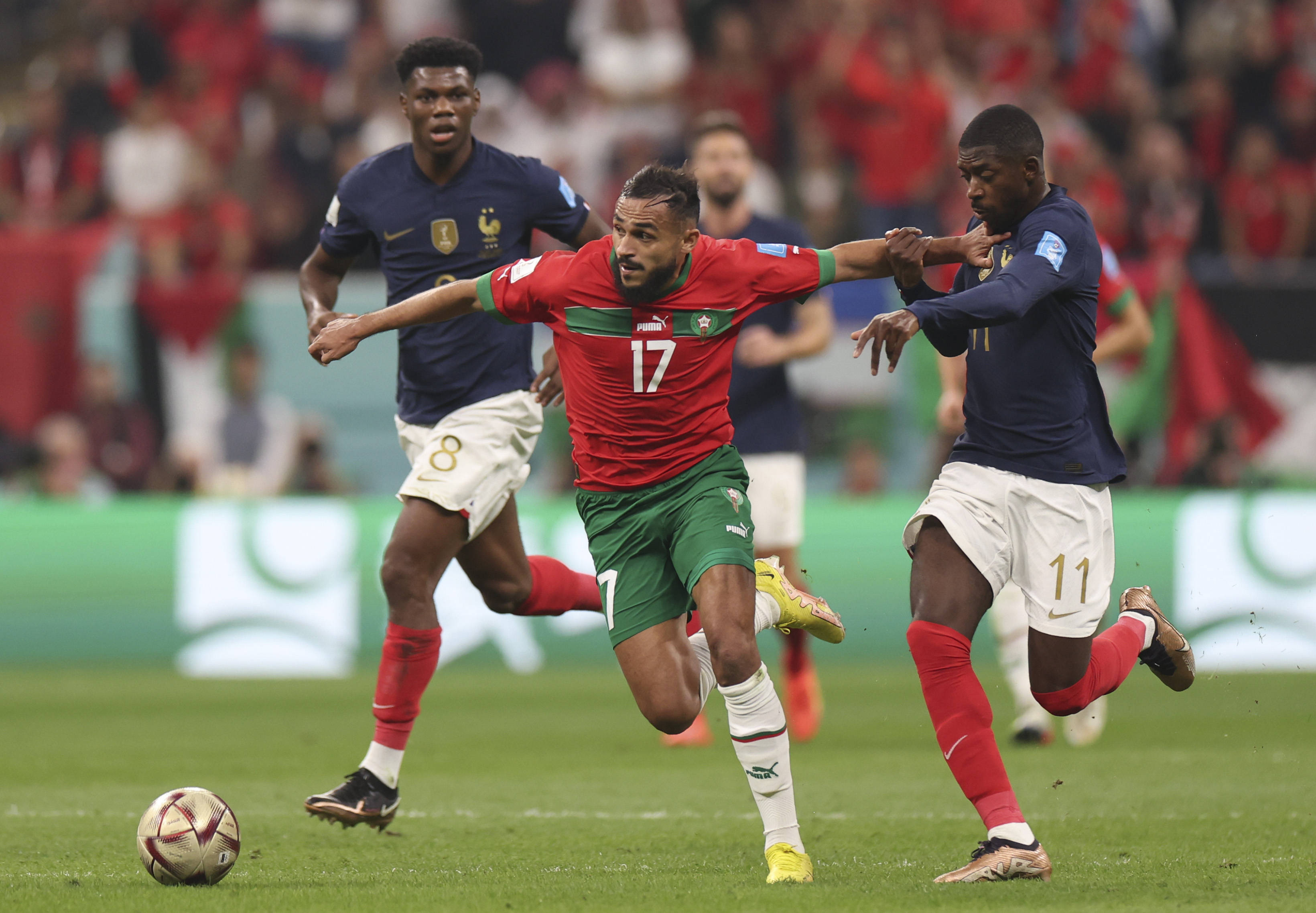 从整体来看 从整体来看