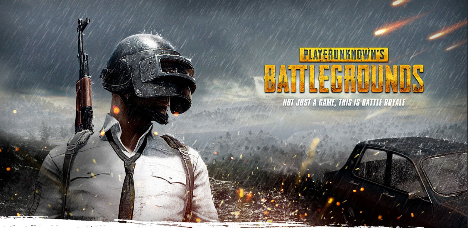 团队领袖的 团队领袖的