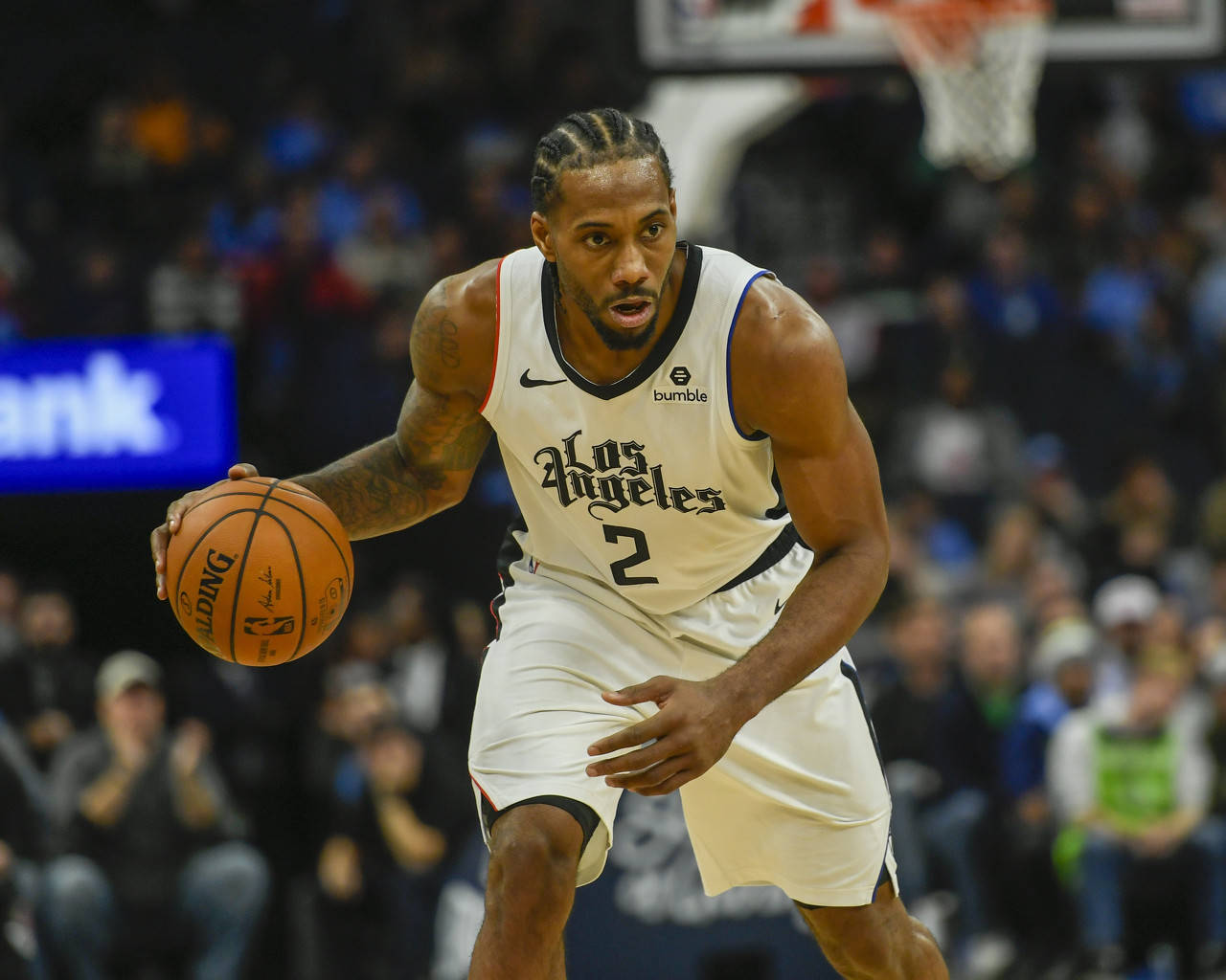 戴维斯上提 戴维斯上提